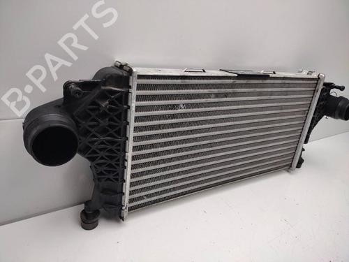 Intercooler MERCEDES-BENZ M-CLASS (W166)  | BP22425350M30 