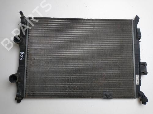 Used Water radiator NISSAN QASHQAI I (J10, NJ10) [2006-2015]  15522507