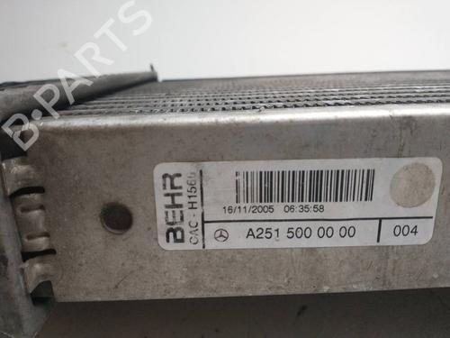 Intercooler MERCEDES-BENZ M-CLASS (W164) ML 320 CDI 4-matic (164.122) | BP12339074M30 