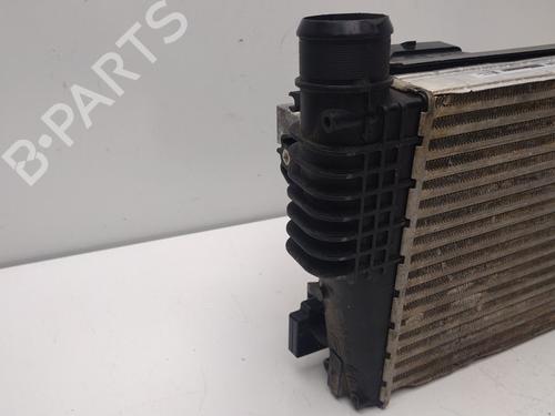 Intercooler OPEL COMBO E Tour / Life (K9) | BP36021080M30 - Image 2