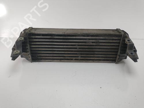 Used Intercooler FORD TOURNEO CONNECT 1.8 TDCi (90 hp) 8802506
