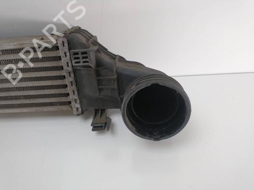 Intercooler MERCEDES-BENZ E-CLASS (W211) E 270 CDI (211.016) | BP10157679M30 