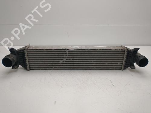 Used Intercooler FORD KUGA II (DM2) [2012-2026]  32724771