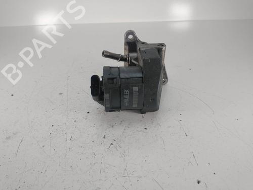 Egr BMW 1 (E87)  | BP16275551M69 