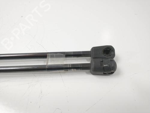 Tailgate lift support MERCEDES-BENZ A-CLASS (W169) A 200 CDI (169.008, 169.308) | BP14157359C138 