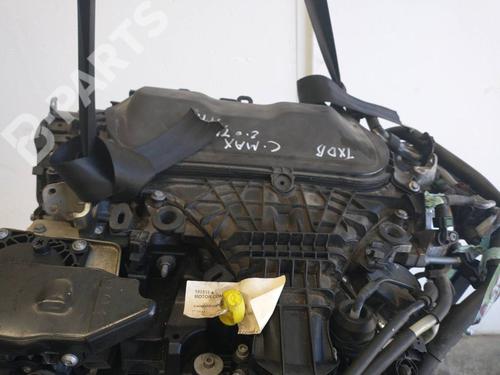 Used Engine FORD C-MAX II (DXA/CB7, DXA/CEU) [2010-2019]  10391028