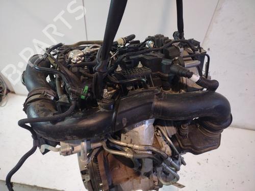 Engine FORD PUMA (J2K, CF7)  | BP31161930M1 