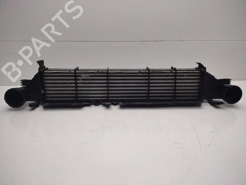 Used Water radiator MERCEDES-BENZ C-CLASS Coupe (CL203) C 220 CDI (203.706) (143 hp) 30729945