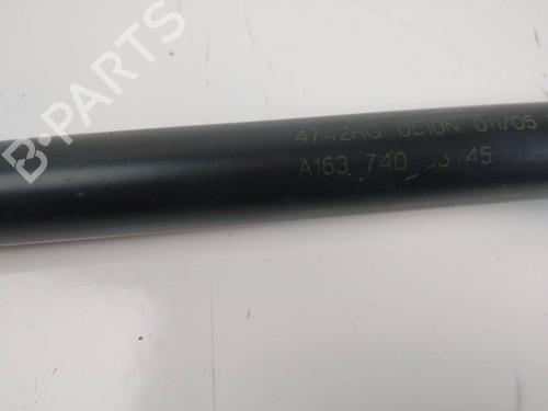 Tailgate lift support MERCEDES-BENZ M-CLASS (W163) ML 270 CDI (163.113) | BP16574113C138 