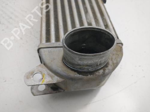 Intercooler LAND ROVER DISCOVERY III (L319) 2.7 TD 4x4 | BP32439111M30  - Image 5