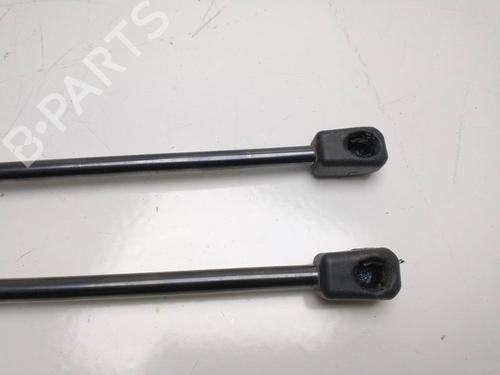 Tailgate lift support NISSAN QASHQAI I (J10, NJ10) 2.0 | BP14157652C138 