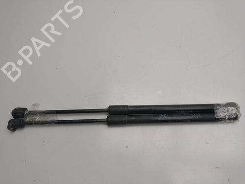 Tailgate lift support HYUNDAI i20 I (PB, PBT)  | BP21361053C138 