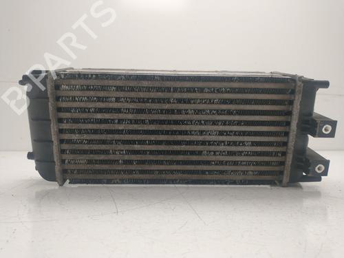 Intercooler CITROËN C4 II (NC_) 1.6 HDi 90 | BP39102498M30 - Image 2