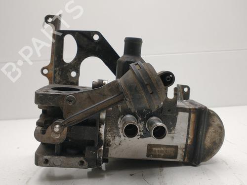 Egr AUDI A4 B8 Avant (8K5)  | BP30642013M69 