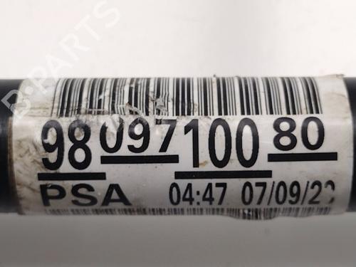 Left front driveshaft CITROËN C3 AIRCROSS II (2R_, 2C_)  | BP29729687M38 
