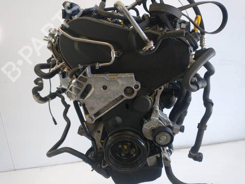 Engine VW GOLF VII (5G1, BQ1, BE1, BE2)  | BP13906800M1 