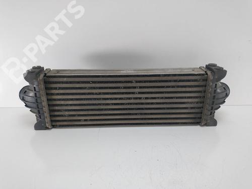 Intercooler FORD TRANSIT V363 Van (FCD, FDD)  | BP10160984M30 