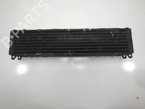 Intercooler LAND ROVER RANGE ROVER SPORT I (L320) 2.7 D 4x4 (190 hp) 12339534