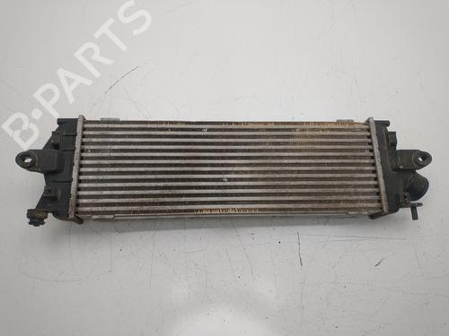 Intercooler RENAULT TRAFIC II Bus (JL)  | BP33798985M30  - Image 5