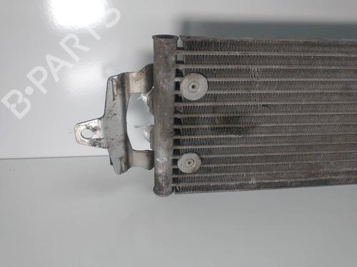 Oliekøler VW TOUAREG (7LA, 7L6, 7L7) 3.0 V6 TDI | BP14157564M33 