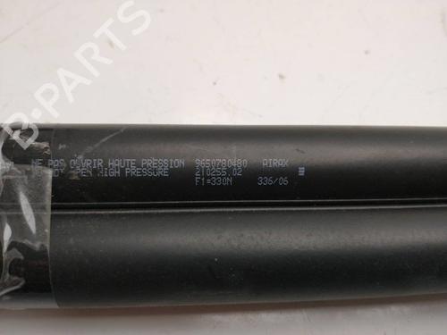 Tailgate lift support CITROËN C4 Picasso I MPV (UD_) 2.0 HDi 138 | BP21361052C138 