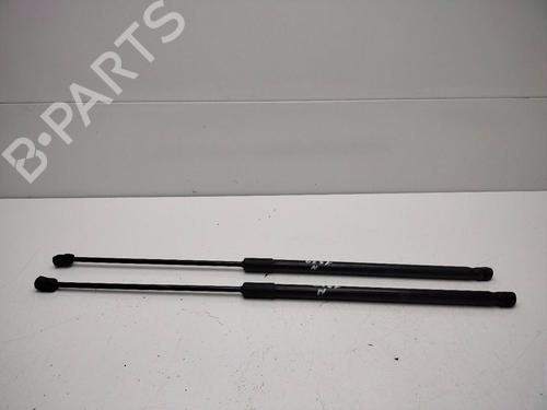 Tailgate lift support MERCEDES-BENZ GLC (X253) 250 d 4-matic (253.909) | BP22193383C138 
