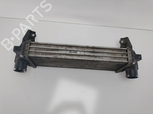 Intercooler FORD TOURNEO CONNECT  | BP8802517M30 