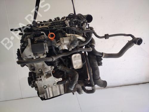 Motor VW GOLF VI (5K1) 1.6 TDI (105 hp) 23500778