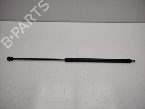 Used Hood lift support RENAULT MEGANE III Hatchback (BZ0/1_, B3_) 1.5 dCi (BZ09, BZ0D, BZ1W, BZ29, BZ14) (110 hp) 22349409