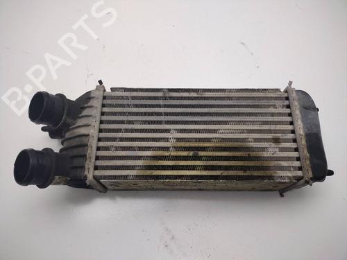 Intercooler FIAT SCUDO Bus (270_, 272_) 2.0 D Multijet | BP18121631M30 