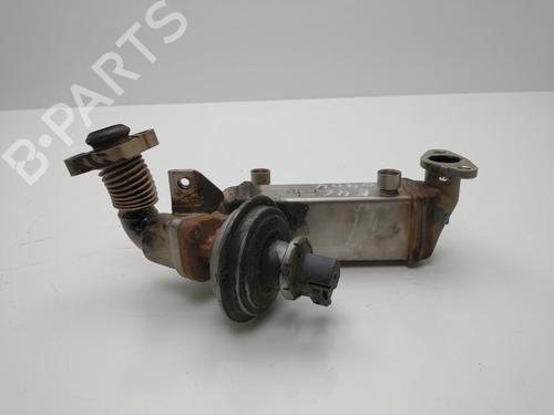 Egr BMW 3 (E46) 320 d | BP27820185M69 