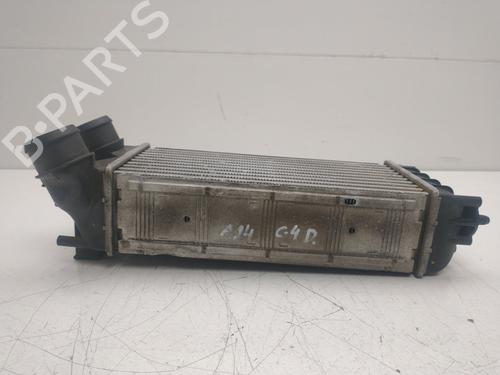 Intercooler CITROËN BERLINGO MULTISPACE (B9) 1.6 BlueHDi 100 | BP39102496M30 - Image 5