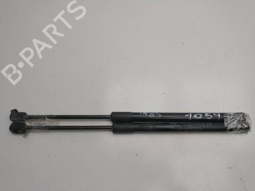 Tailgate lift support HYUNDAI i20 I (PB, PBT)  | BP21361053C138 