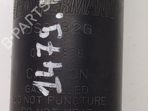 Used Right front shock absorber VW PASSAT B6 (3C2) 2.0 TDI (140 hp) 31841222