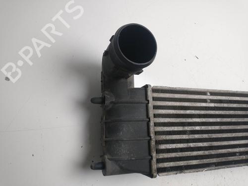 Intercooler CITROËN C8 (EA_, EB_) 2.2 HDi | BP15720685M30 