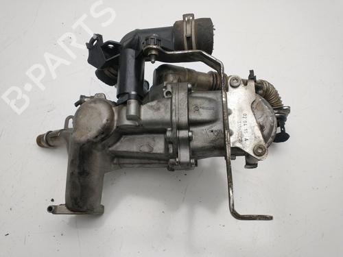 Used Egr CITROËN C4 II (NC_) 1.6 BlueHDi 120 (120 hp) 24143900