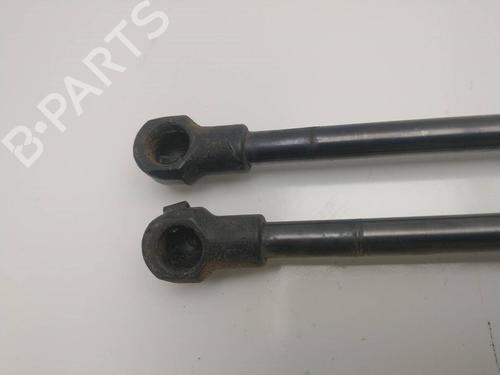 Tailgate lift support AUDI A3 (8P1) 1.6 | BP22405848C138 