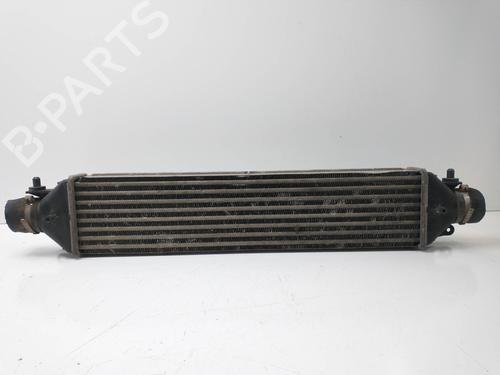 Used Intercooler FIAT DOBLO Cargo (263_) [2010-2025]  8619941