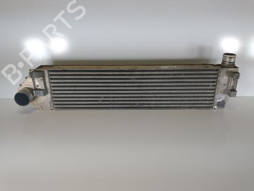 Used Intercooler RENAULT MEGANE II (BM0/1_, CM0/1_) 2.0 dCi (BM1K, CM1K) (150 hp) 7505914
