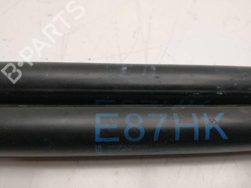 Tailgate lift support BMW 1 (E87) 118 d | BP21361028C138 