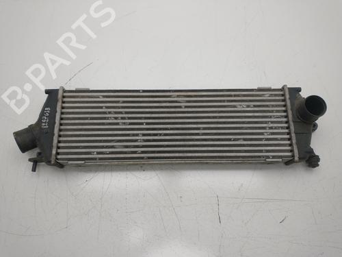 Used Intercooler Intercooler RENAULT TRAFIC II Bus (JL) [2001-2026] 33798985 33798985