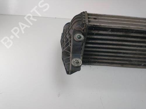 Intercooler FORD TOURNEO CONNECT 1.8 TDCi | BP8802506M30 