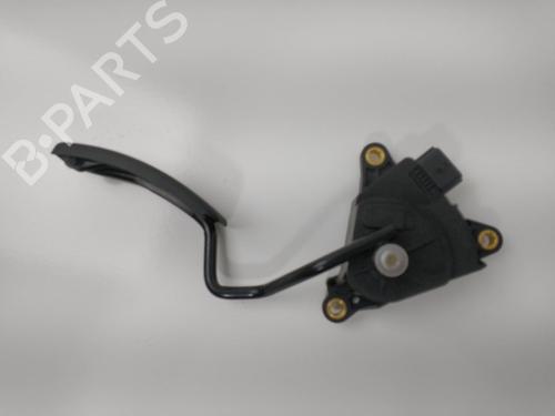 Pedal RENAULT CLIO III (BR0/1, CR0/1) 1.5 dCi (BR17, CR17) | BP16334049I4 