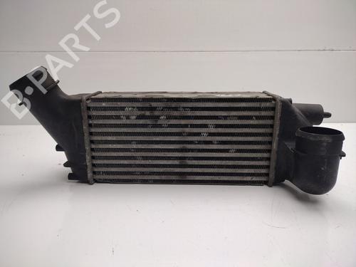 Used Intercooler PEUGEOT 308 I (4A_, 4C_) 2.0 HDi (136 hp) 30735244