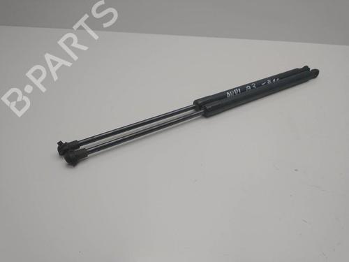 Tailgate lift support AUDI A3 (8P1) 1.6 | BP22405848C138 