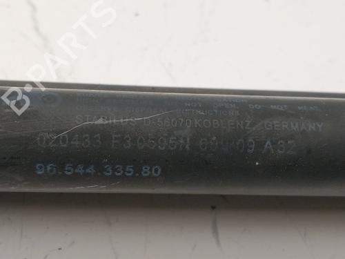 Tailgate lift support CITROËN C4 Picasso I MPV (UD_)  | BP28503425C138 