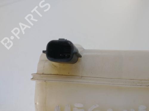 Brake master cylinder RENAULT MEGANE III Hatchback (BZ0/1_, B3_)  | BP8543237M77 