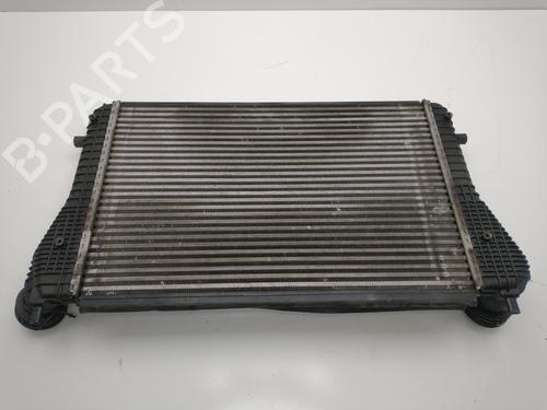 Ladeluftkühler AUDI A3 Sportback (8PA) | BP30847405M30