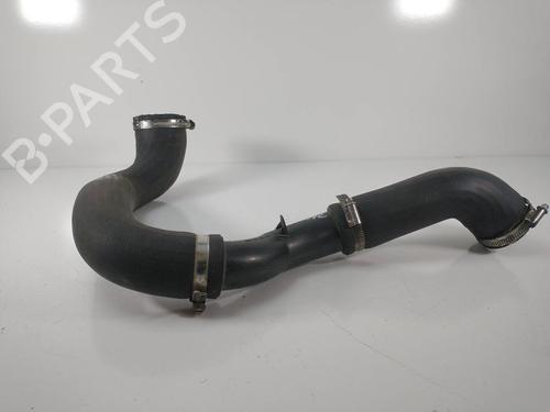 Pipe FORD KUGA II (DM2)  | BP21361030M125 