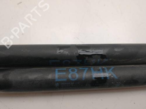 Tailgate lift support BMW 1 (E81) 116 i | BP21361051C138 